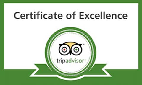 Excellence-Badge_2013
